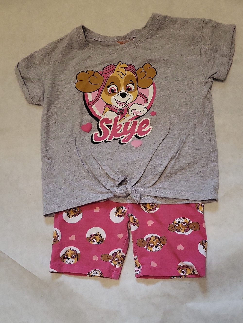 Paw Patrol Skye tee shirt and shorts set
